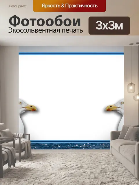Фотообои Чайка Кадр