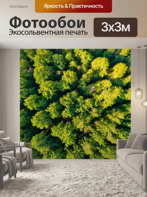 Фотообои с высоты над зеленым лесом, где солнце пробивается сквозь листву, создавая узоры света и тени на земле