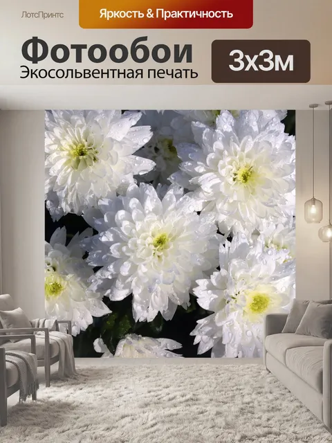 Фотообои Хризантемы