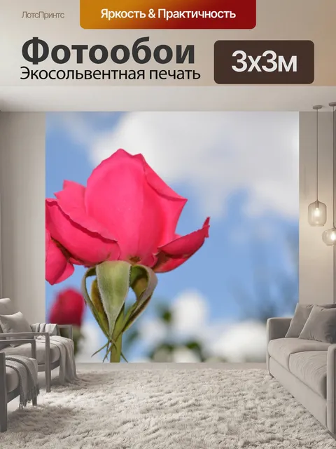 Фотообои Роза