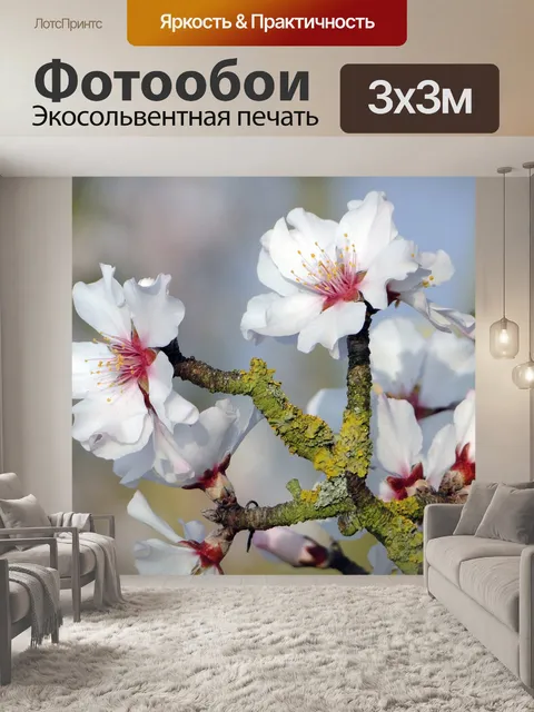 Фотообои Цветок миндаля