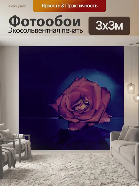Фотообои Роза