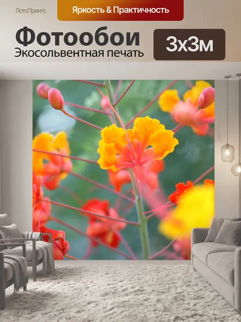 Фотообои Яркие цветы цветут