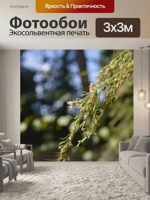 Фотообои Зеленый