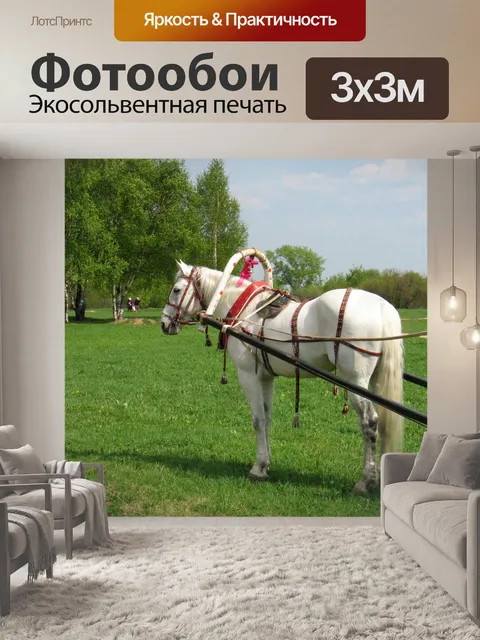 Фотообои Белый конь
