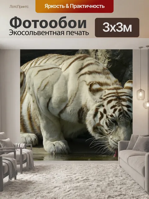 Фотообои Белый бенгальский тигр