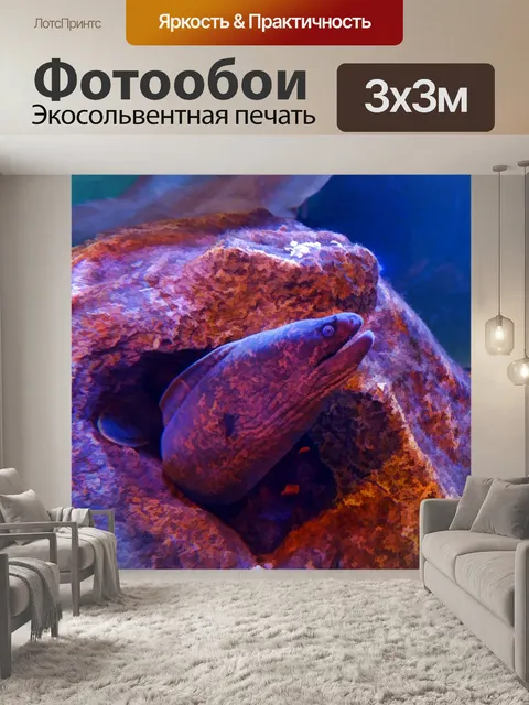 Фотообои Морской угорь