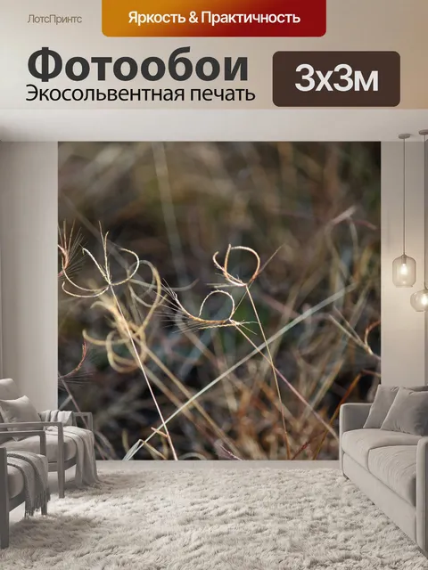 Фотообои пушистый изогнутый пучок семян сухой тра