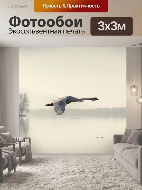 Фотообои Лебедь