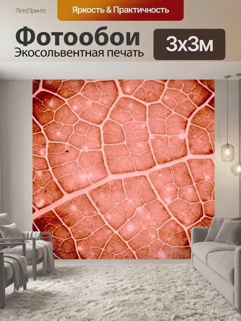 Фотообои Текстура фона листа