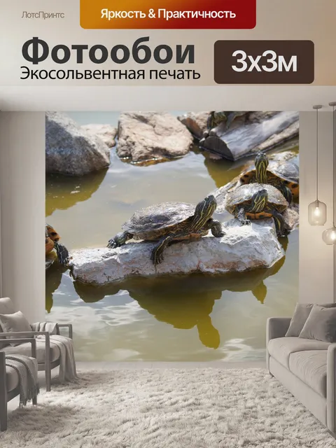 Фотообои Черепаха