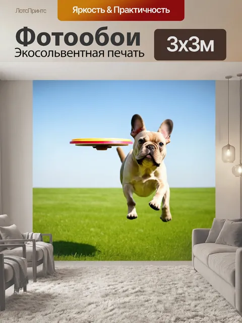 Фотообои забавный французский бульдог, прыгающий в воздухе для ловли игрушечного фрисби на фоне зеленого поля