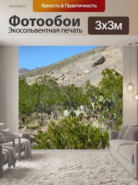 Фотообои Государственный парк Franklin Mountains