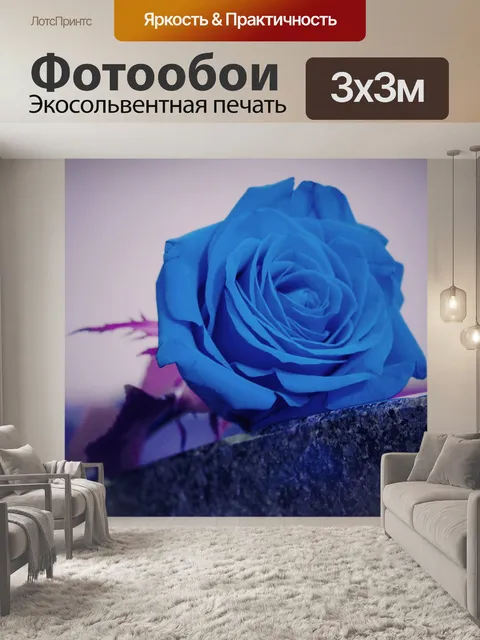 Фотообои Голубая роза на могиле