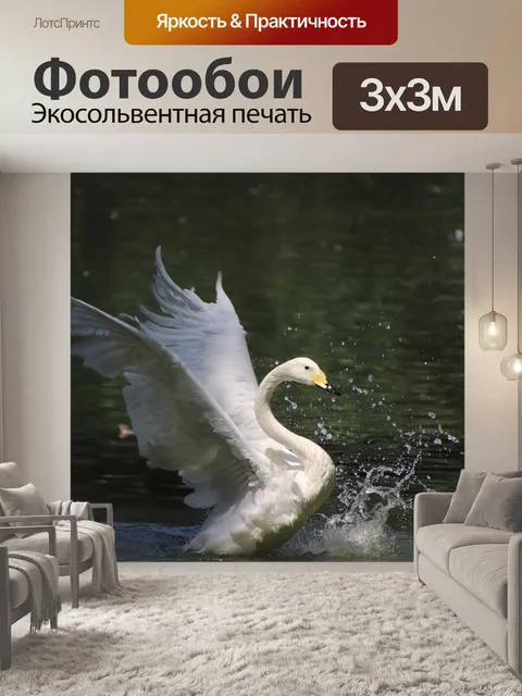 Фотообои Лебедь