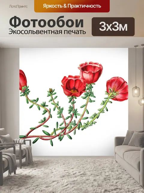 Фотообои Цветок красный винтаж старый
