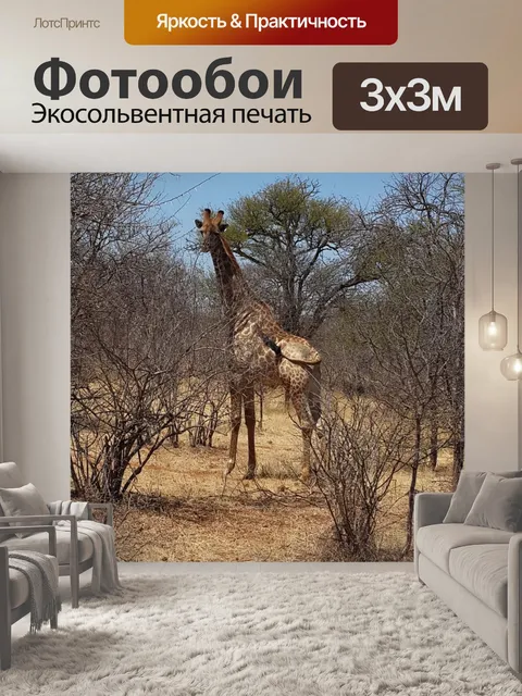 Фотообои Жирафа