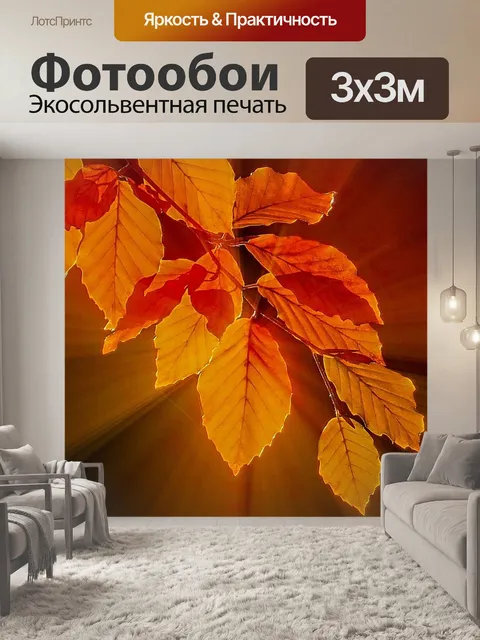 Фотообои Осенние листья