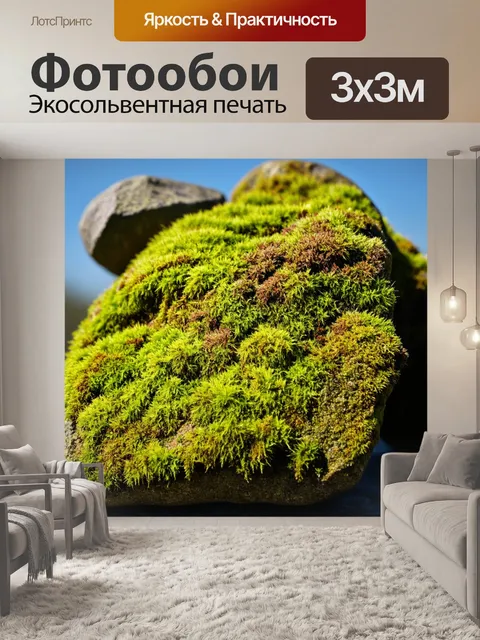 Фотообои камень, изображающие обветренные камни, покрытые ярким мхом