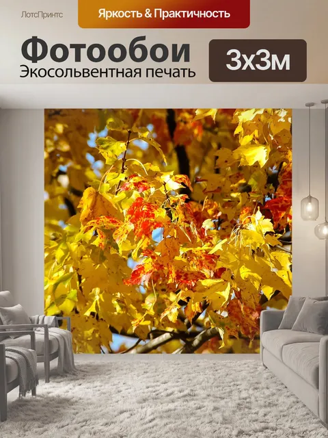 Фотообои Осень