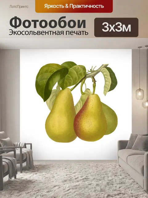 Фотообои Плоды груши винтажные