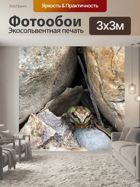 Фотообои Природа