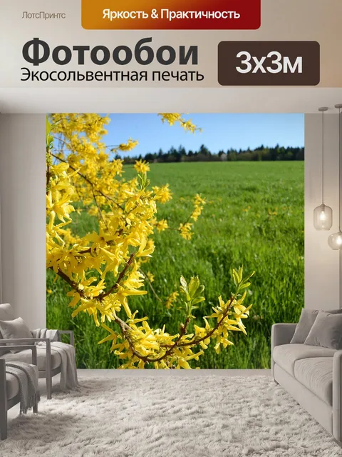 Фотообои Форсайтия