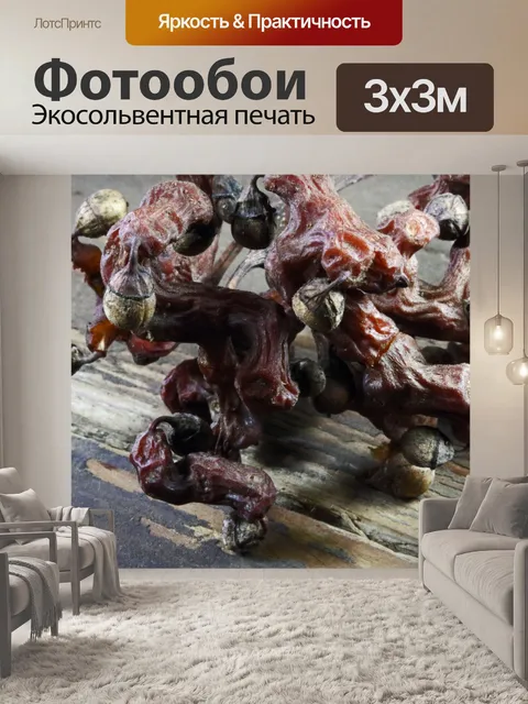Фотообои спелая гроздь восточного изюма