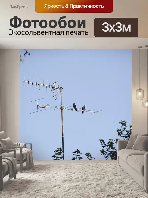 Фотообои Галки