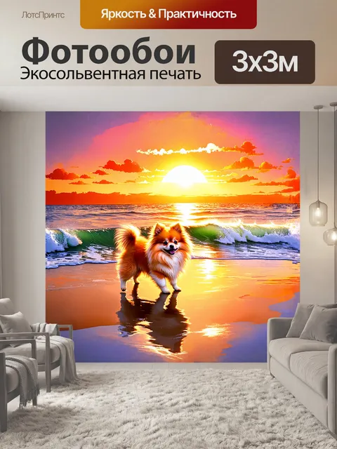 Фотообои померанский шпиц, играющий на берегу моря под ярким закатом, пускает волны в воздух