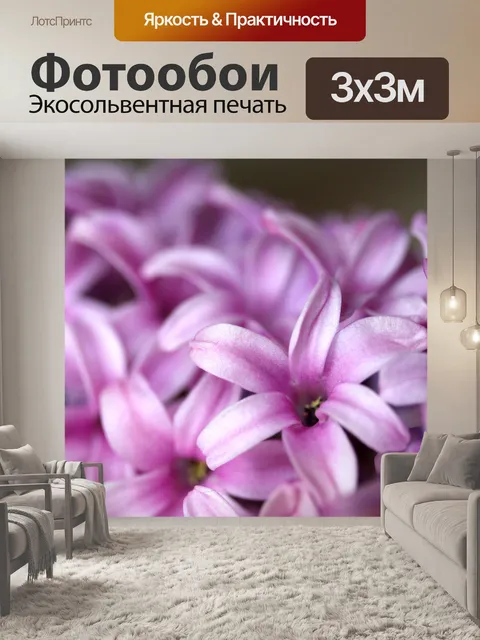 Фотообои Розовый гиацинт