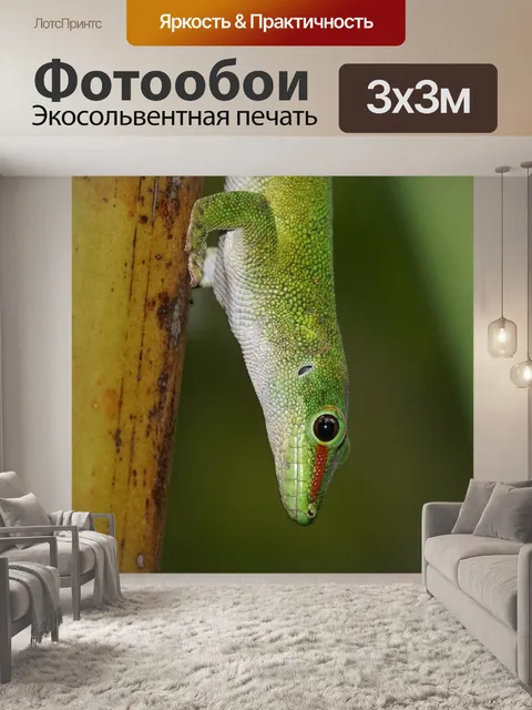 Фотообои Ящерица