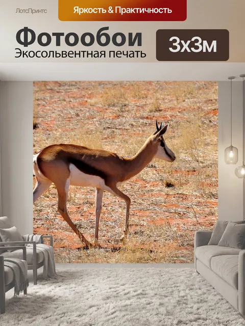 Фотообои Африке