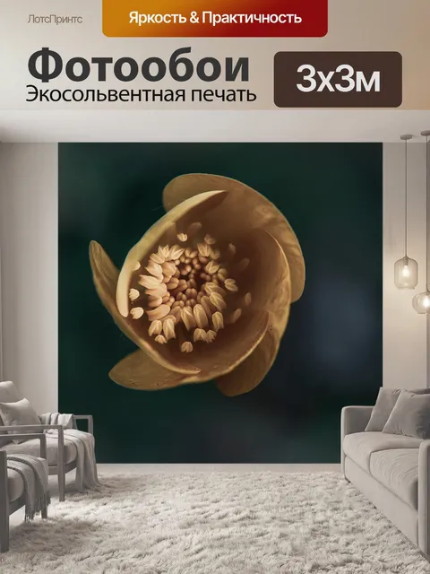 Фотообои Цветок