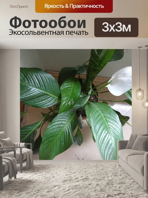 Фотообои Горшок с завода