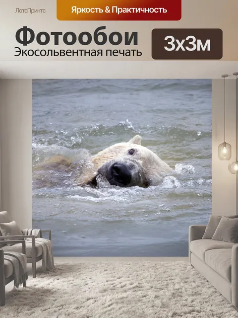 Фотообои Полярный медведь