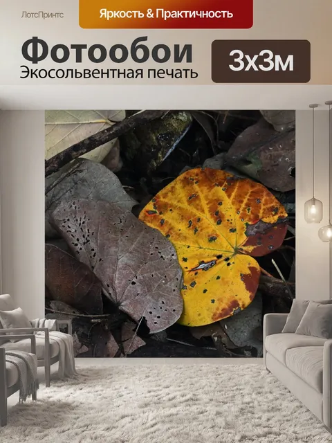 Фотообои гниющий упавший желтый лист