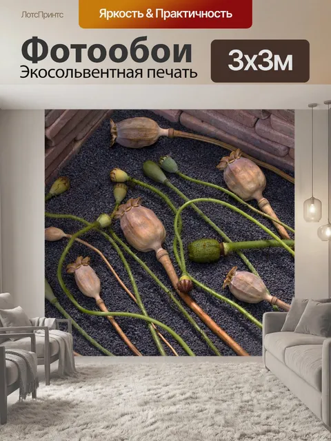 Фотообои Маковые капсулы