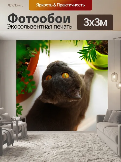 Фотообои Домашний питомец