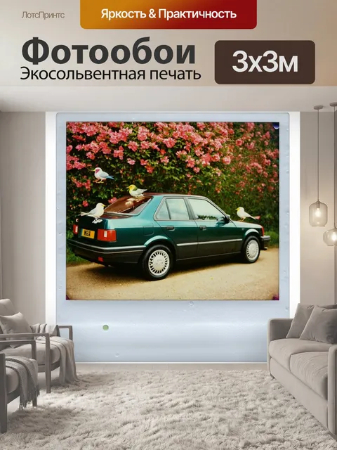 Фотообои машина в стиле полароидная фотография с автомобилем на фоне цветущего сада и птичек