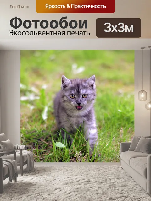 Фотообои Кошка