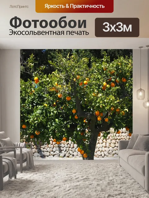 Фотообои Апельсиновое дерево