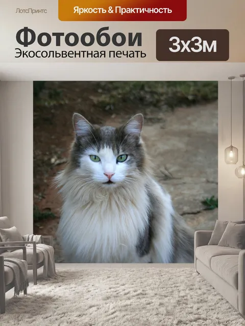 Фотообои тряпичной куклы кошка с зелеными глазами