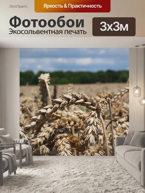 Фотообои Колосья пшеницы