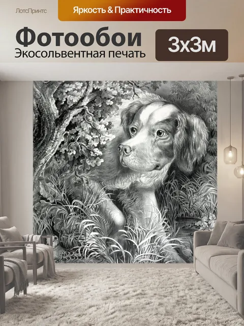 Фотообои Собака Охота старинные иллюстрации
