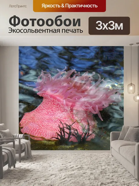 Фотообои Анемоны