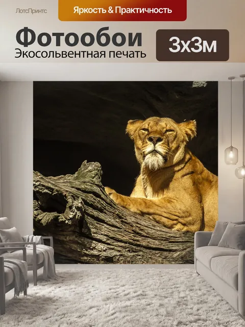 Фотообои Пантера лев