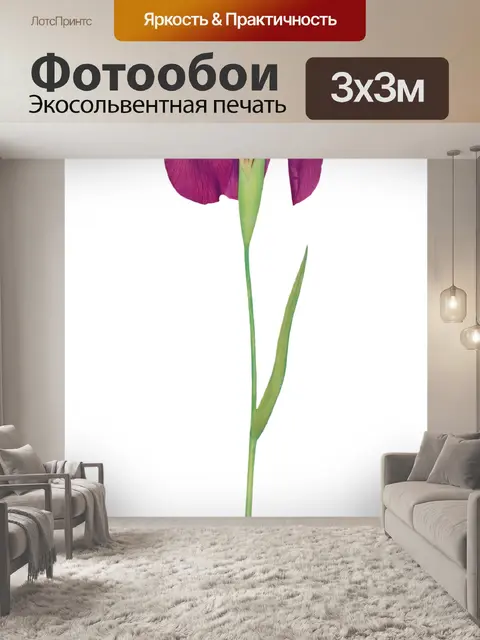 Фотообои Винтажный клипарт цветок ириса