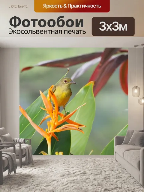 Фотообои Коричневый горло