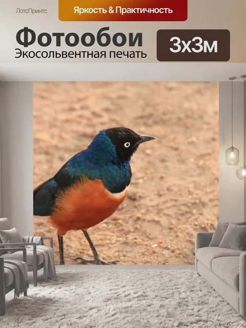 Фотообои Птица